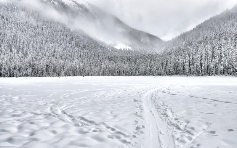 Beste weerstandsbanden voor krachttraining