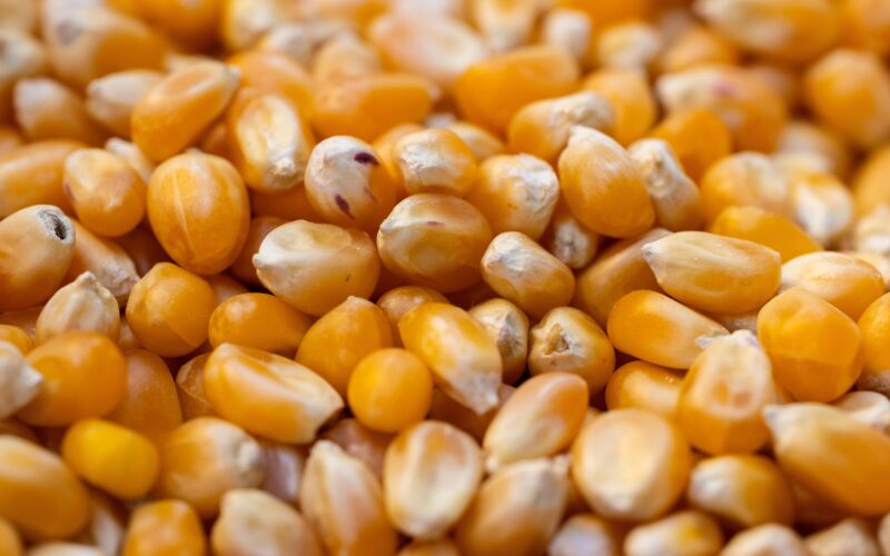 Noten en dadelrepen gezonde zoete snack