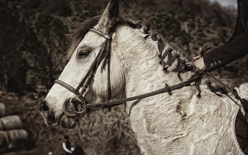 Beste polsbandages voor extra ondersteuning
