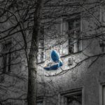 Beste Gorilla Sports dumbbell set 20 kg