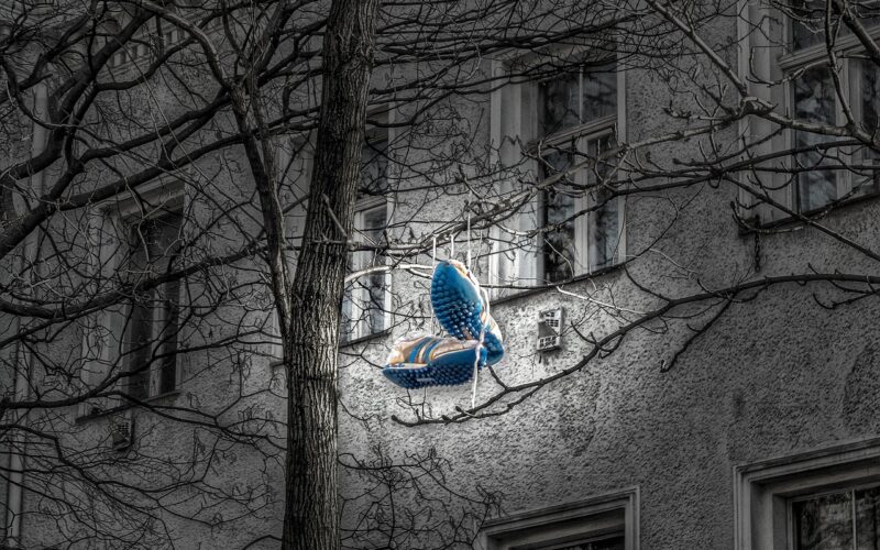 Beste Gorilla Sports dumbbell set 20 kg